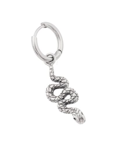 THE TRUST Single earring